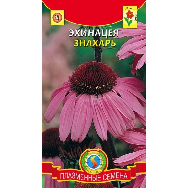 Эхинацея Знахарь Плазма