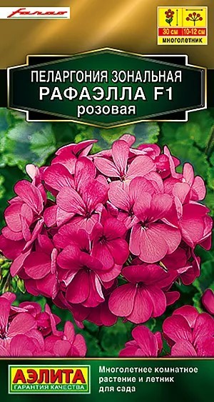 Пеларгония Рафаэлла F1 розовая 5шт Аэлита