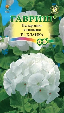 Пеларгония Бланка F1 зональная 4гран. ГШ