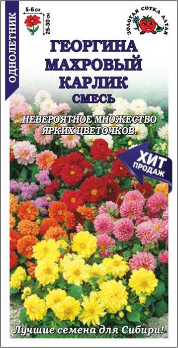 Георгина Махровый карлик смесь 30см Золотая сотка