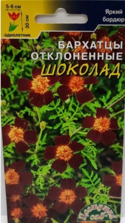 Бархатцы Шоколад Цв сад