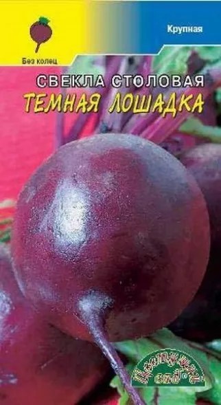 Свекла Темная лошадка Цв сад