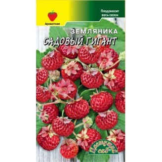 Земляника Садовый гигант крупномер Цв сад