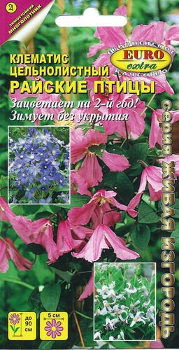 Клематис Райские птицы цельнолистный многолетн,90см Аэлита