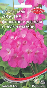 Пеларгония Люстра фиолетово-розовая с белым глазком 4шт СА