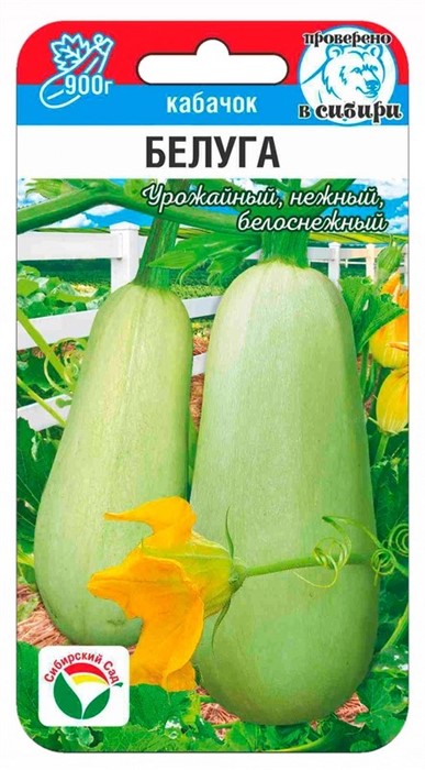 Кабачок Белуга 5шт Сиб Сад