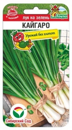 Лук на зелень Кайгаро 100шт Сиб Сад
