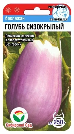 Баклажан Голубь сизокрылый 20шт Сиб Сад