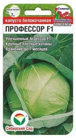 Капуста белокочанная Профессор F1 10шт Сиб Сад