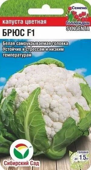 Капуста цветная Брюс F1 10шт СС