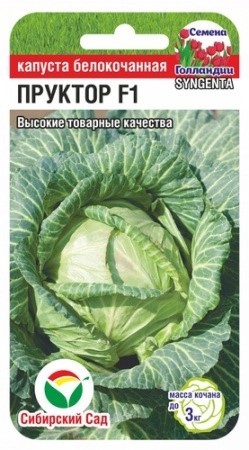 Капуста белокочанная Пруктор F1 10шт Сиб Сад
