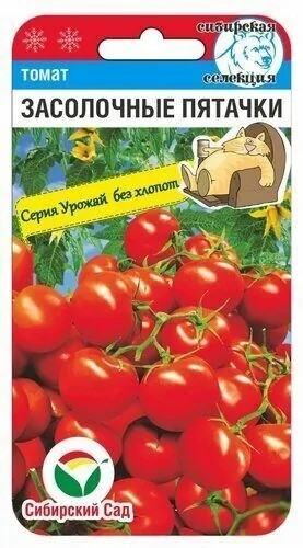 Томат Засолочные пятачки 20шт Сиб Сад