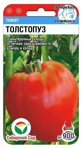 Томат Толстопуз 20шт СС