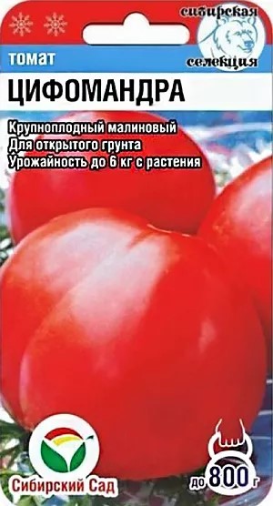 Томат Цифомандра 20шт СС