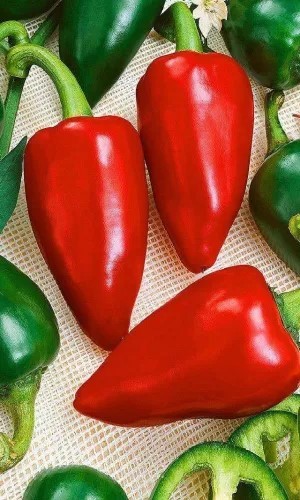 Перец сладкий Красавец Приобья 20шт УД