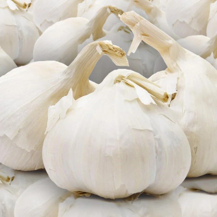 Лук-чеснок Рокомболь луковица большая