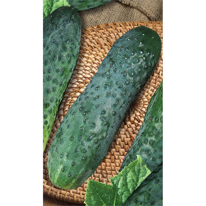 Огурец Феникс плюс 10 шт Садовита