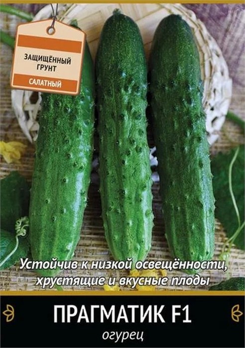 Огурец Прагматик F1 12шт Поиск