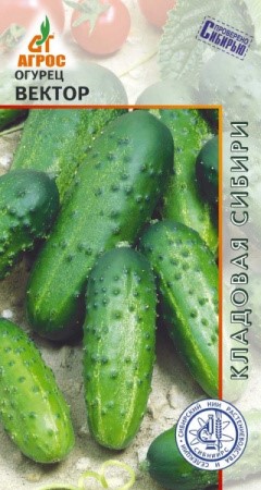 Огурец Вектор 10шт Агрос