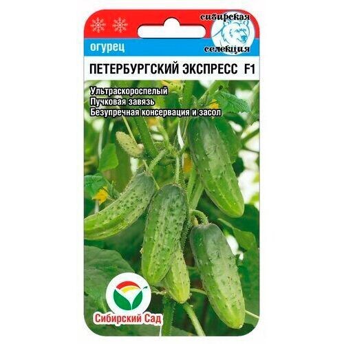 Огурец Петербургский экспресс F1 7шт Сиб Сад