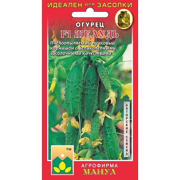 Огурец Желудь F1 10шт Манул