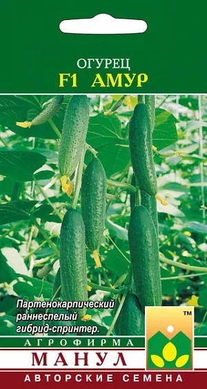 Огурец Великий Амур F1, 10шт Артикул
