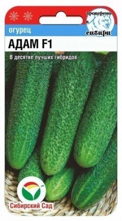 Огурец Адам F1 5шт Сиб сад