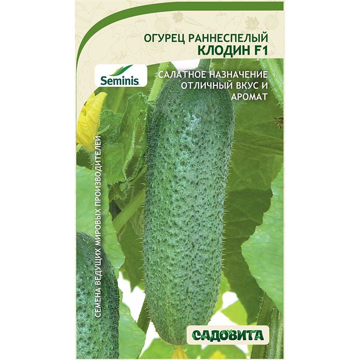 Огурец Клодин F1 5шт Seminis/Садовита
