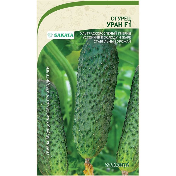 Огурец Уран F1 5шт Sakata/Садовита