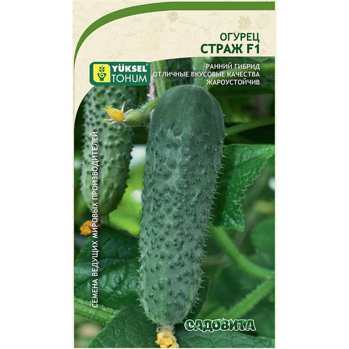 Огурец Страж F1 5шт Yuksel Tohum/Садовита