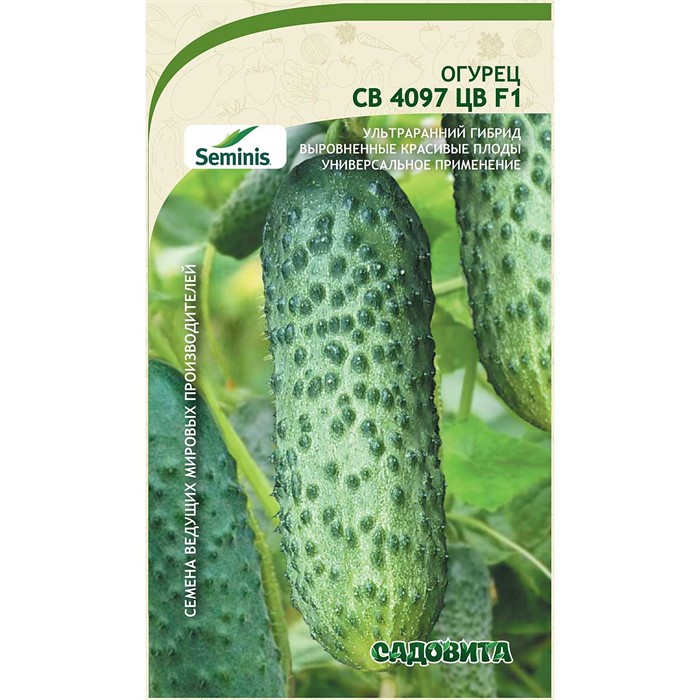 Огурец СВ 4097 ЦВ F1 5шт Seminis/Садовита