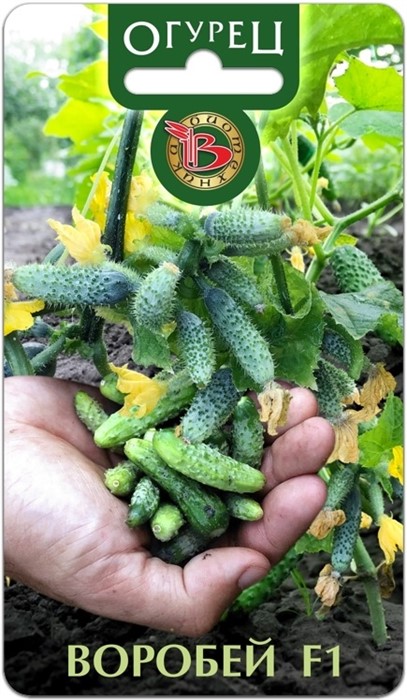 Огурец Воробей 10шт Б/техн