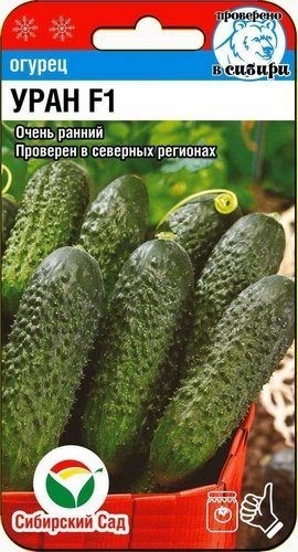 Огурец Уран F1 5шт Сиб Сад