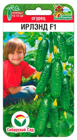 Огурец Ирлэнд F1 5шт Сиб Сад"