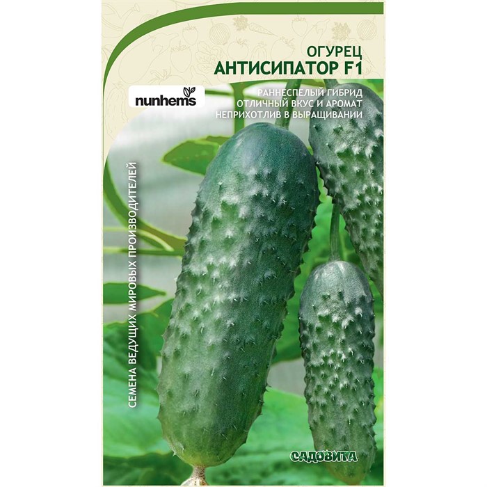 Огурец Антисипатор F1 5шт Nunhems/Садовита