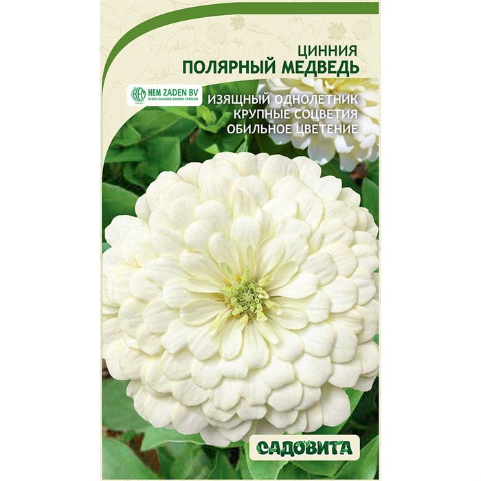 Циния Полярный медведь 0,3гр Садовита