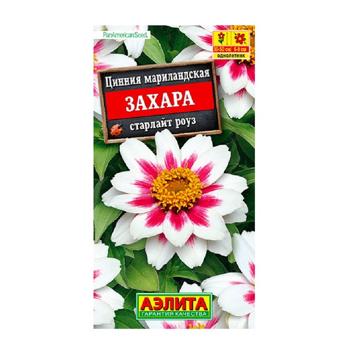 Цинния Захара старлайт Роуз 5шт Аэлита