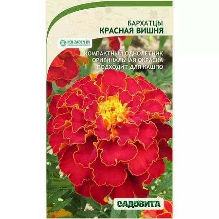 Бархатцы Красная вишня 0,3гр Садовита
