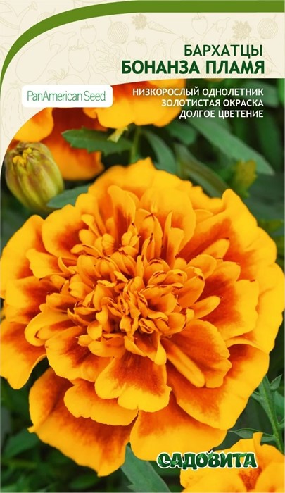 Бархатцы Бонанза Пламя 10шт PanAmerican/Садовита