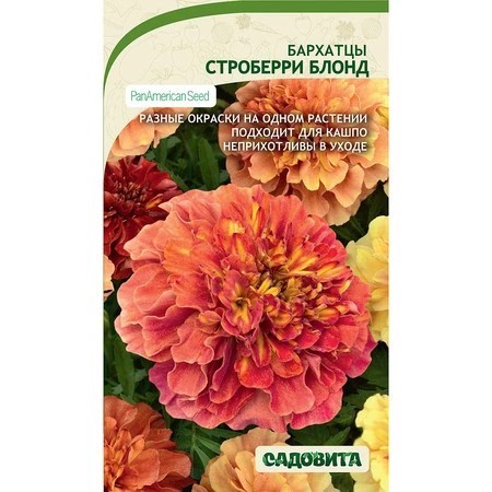 Бархатцы Строберри Блонд 5шт Садовита