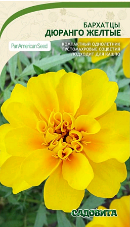 Бархатцы Дюранго Желтые 15шт PanAmerican/Садовита