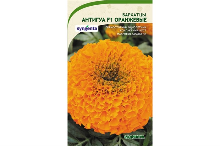 Бархатцы Антигуа F1 Оранжевые 5шт Syngenta/Садовита