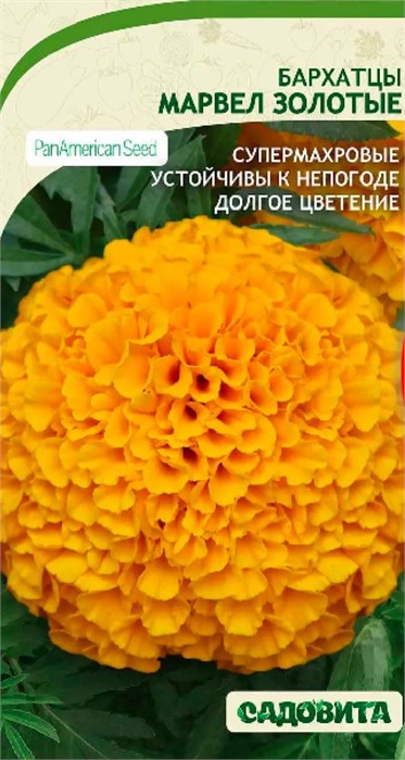 Бархатцы Марвел Золотые прямостоячие 5шт PanAmerican/Садовита
