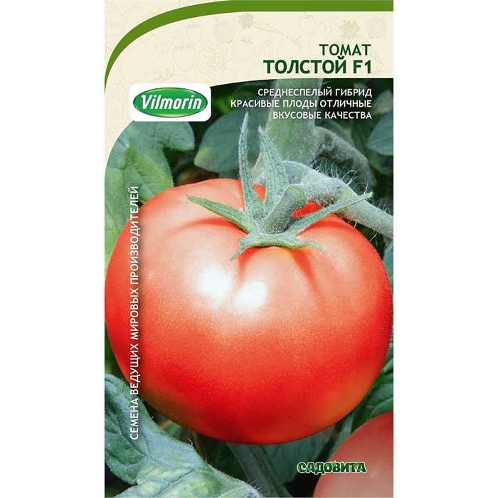 Томат Толстой F1 10шт Bejo/Садовита