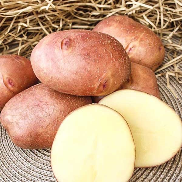 Картофель семенной Взрывной 2 Элита 1кг