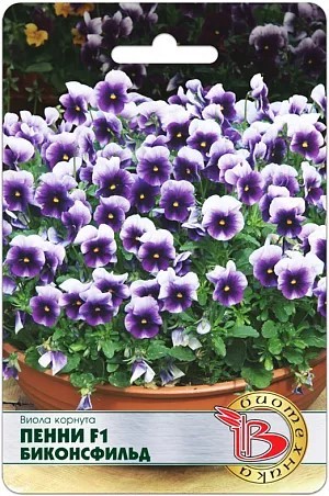 Виола корнута Пенни F1 Биконсфильд 20шт Биотехника