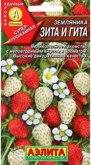 Земляника ремонт. Зита и Гита 0,04г Аэлита