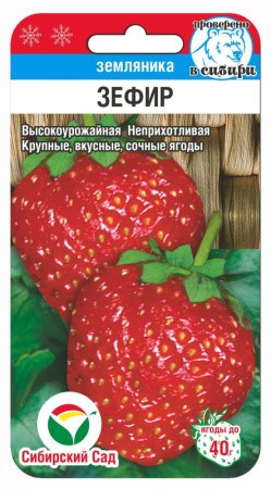 Земляника Зефир 10шт СС