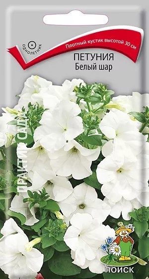 Петуния Белый шар 0,1гр Поиск