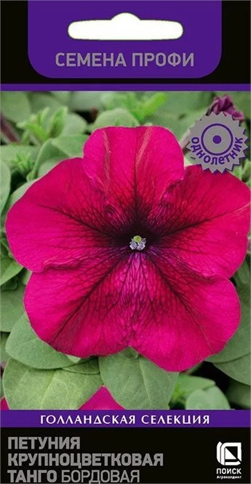Петуния Танго бордовая Поиск